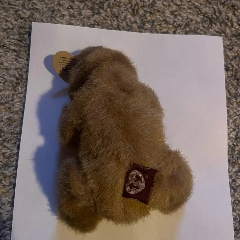 TY Cody - Picture 2 of 3